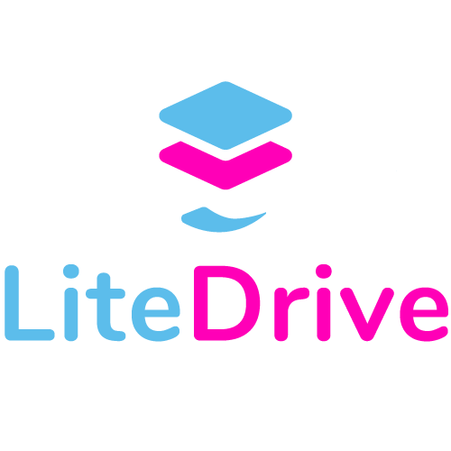 LiteDrive_pink_vertical LiteDrive Logo Pink